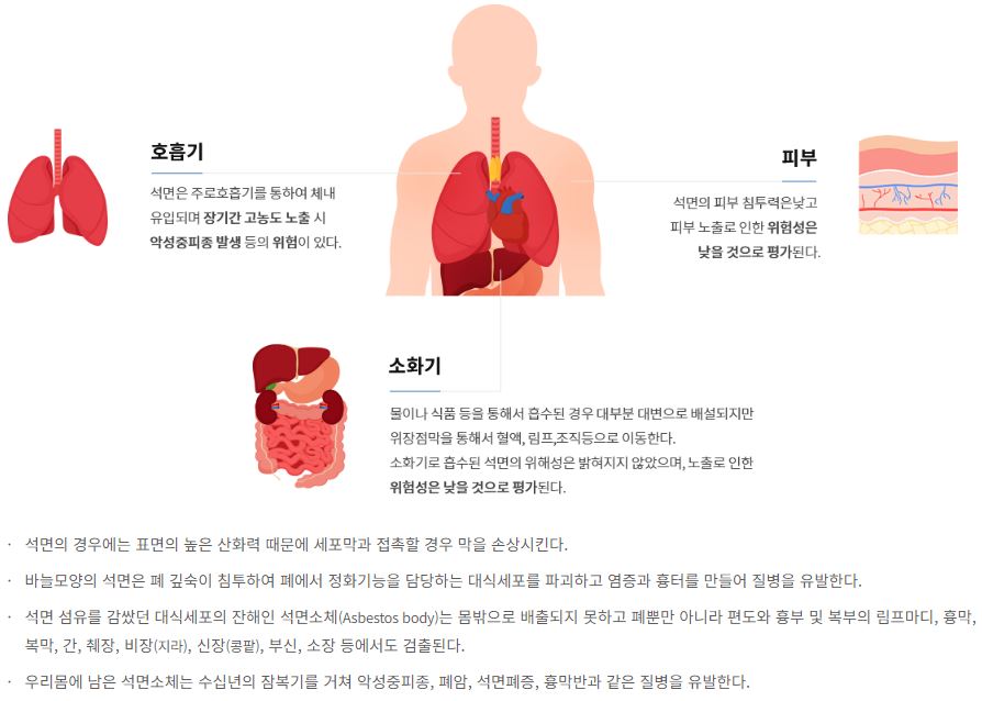 석면의 유해성.JPG